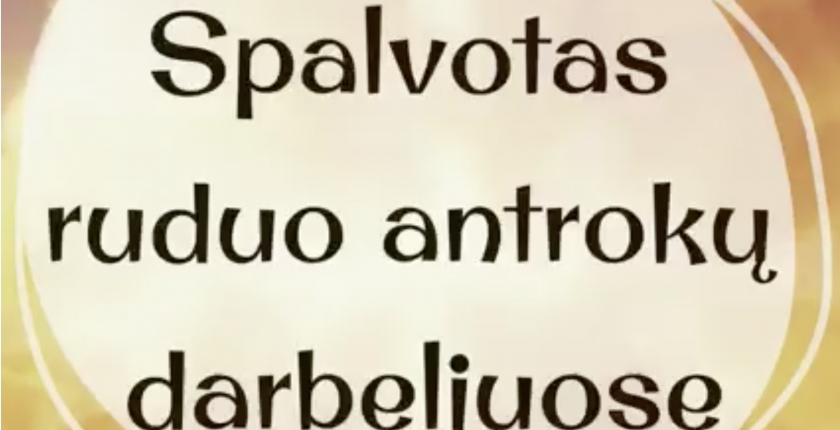 Universa Via